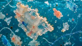 Secondo un nuovo studio, le microplastiche possono generare specie reattive dell’ossigeno sulla loro superficie quando interagiscono con l’acqua, il che suggerisce un potenziale meccanismo di danno biologico. (Fonte:Dall-E / Generato dall'IA)