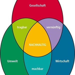 Bild 1: Schema für eine nachhaltige Entwicklung im Rahmen eines Nachhaltigkeitsmanagements. 
