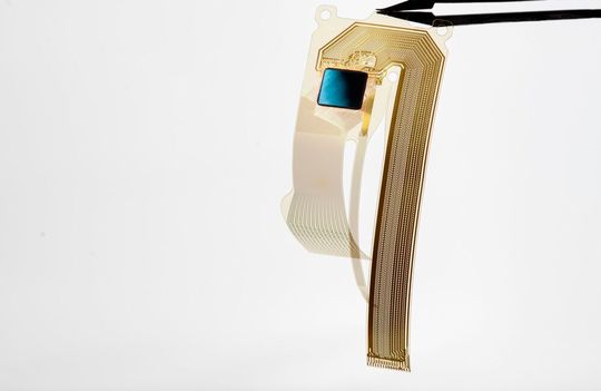 Das Herzschrittmacher-Implantat ist flexibel und passt sich der Form des Gehirns an. Das erhöht den Tragekomfort deutlich.(Bild:  Fraunhofer IZM)