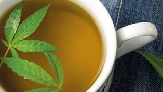 Abb. 1: Der THC-Gehalt von beispielsweise Hanftee darf 5 µg/kg nicht überschreiten.  (©creativefamily - stock.adobe.com)