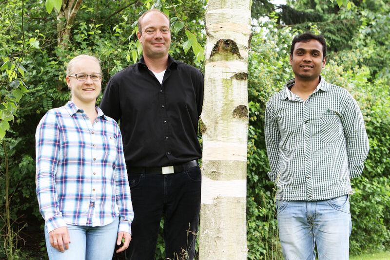Dr. Christian Moschner (Mitte), Marieke Nissen und Kiran Singewar von der Uni Kiel wollen Birkenarten mit einem hohen Gehalt an Methylsalicylat als Grundlage künftiger Kultursorten identifizieren. (Christian Urban, Universität Kiel)