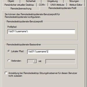 Abbildung 1: Das Profil wird auf dem Server fixiert.