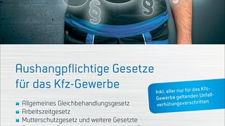 Neue Broschüre vom ZDK. (Bild: Promotor)