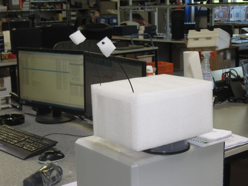 Fund des Tages in den heiligen Hallen der Aquado (Aquado)