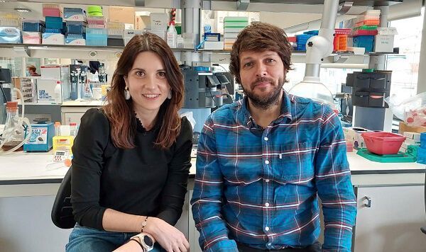 The experts Roberta Haddad-Tóvolli and Marc Claret led a study that provides new evidence on the alterations of the neuronal activity that drive cravings in an animal model. (University of Barcelona)
