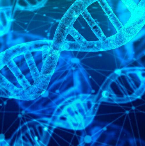 Epigenetic changes can affect how our genes work. Epigenetic changes can affect how our genes work.
