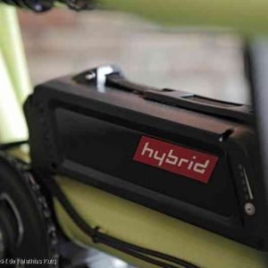 (www.pd-f.de | Mathias Kutt)