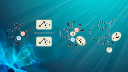 The reversible activation and catalytic transfer of ammonia by a major group element compound.(Source:  Frank Breher, KIT)