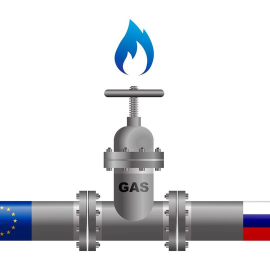 Ohne russisches Gas könnte es für die deutsche Chemieindustrie schnell problematisch werden. Ohne russisches Gas könnte es für die deutsche Chemieindustrie schnell problematisch werden.