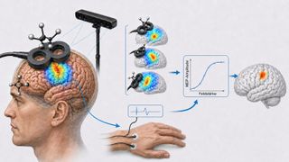 Eine TMS-Spule erzeugt im Gehirn ein elektrisches Feld und löst eine messbare Antwort des Handmuskels aus. Das System führt die für unterschiedliche Spulenpositionen berechneten Feldverteilungen mit den Muskelantworten in einem Regressionsmodell zusammen. Daraus entsteht eine individuelle Karte der Repräsentation des untersuchten Muskels im motorischen Kortex. (Bild: Redaktionsbüro G. Deußing, KI-generiert; fachliche Grundlage: HTWK Leipzig, Localite, Numssen et al. 2021, Weise et al. 2023)
