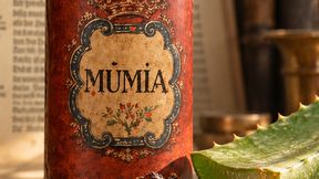 Se han detectado componentes del aloe en materiales históricos; indicios de relaciones entre objetos de museo (La imagen contiene elementos de diseño generados por IA, entre ellos el fondo de la biblioteca, el suelo, la planta de aloe y el exudado seco). Imágenes originales de la ilustración: fuente textual histórica «Von der rechten wahrhaften Mumia», Joachim Strüppe, Fráncfort, 1574. Imagen original del recipiente de Mumia vera: Dra. Claudia Sachße, Museo Alemán de Farmacia de Heidelberg.) (Imagen:Dra. Claudia Sachße, Museo Alemán de Farmacia de Heidelberg, complementado con IA)