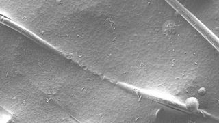 DITF entwickelt Möglichkeiten, um robustere Membranen (Bild) für die Wasserelektrolyse herzustellen, die ein Schlüsselelement für die Speicherung von Wasserstoff zur Energiewende darstellt. (Bild: DITF Denkendorf)