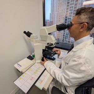 Dr. Pedram Gerami looking at a skin biopsy in his office(Source:  Ben Schamisso / Northwestern University)