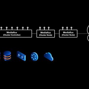 Die Struktur eines Mediaflux-Clusters. Zu den Datenquellen gehören die Cloud, Tape-Libraries und diverse Datenbanken. Die Metadaten-Datenbank auf dem Cluster-Controller verwaltet alle Daten auf den verschiedenen Cluster-Nodes.
