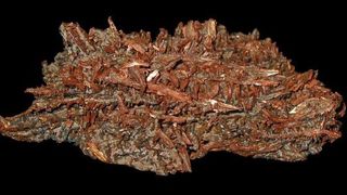  (Bild: commons.wikimedia.org)