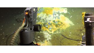 Tauchgang im Golf von Mexiko: Weißlich-orange gefärbte mikrobielle Matten aus schwefeloxidierenden Bakterien zeigen heiße Quellen an, an denen besonders viel Methan und andere energiereiche Verbindungen ausströmen.  (Bild: Woods Hole Oceanographic Institution)