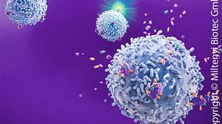 Realease-Antikörper (Miltenyi Biotec )