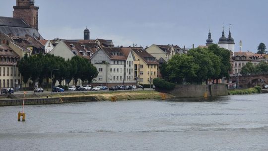Oberrhein bei Straßburg(Bild:  frei lizenziert / Pexels)