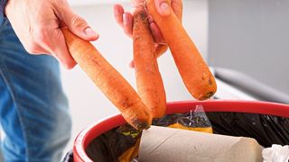 Ein neues Projekt, das vom BMBF unterstützt wird, soll das Wegwerfen von Lebensmitteln verringern. (Copyright (C) Andrey Popov)