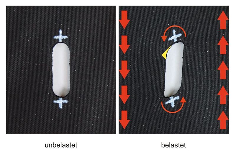Abb. 2a: Belastet man eine geschlitzte 10mm dicke Moosgummiplatte auf Schub, so verformen sich auch hier die Schlitzenden in Richtung Zugdreieckskontur (oben). Die aufgemalten weißen Kreuze rotieren wie zuvor berechnet und beweisen die Existenz der Wirbel hier auch experimentell.  (Bild: Mattheck)