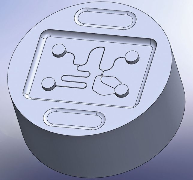 Bild 2: CAD-Screenshot des in Bild 1 gezeigten Formeinsatzes. Damit können sogenannte Mikrofluid-Chips mittels Spritzgießen hergestellt werden. (Bild: Beuth Hochschule)
