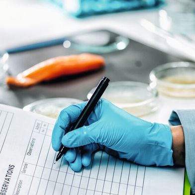 Mehr als eine halbe Million Lebensmittelproben haben die amtlichen Lebensmittelüberwachungen in Berlin und Brandenburg 2024 geprüft. Einige Highlights der Ergebnisse finden Sie hier im Beitrag. (Symbolbild) (Bild: © Microgen - stock.adobe.com)