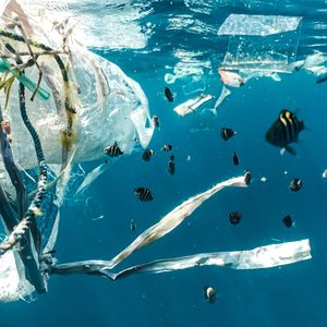 Plastiktüten: 1 %Maßnahme: Jutebeutel und andere Mehrweg-Alternativen benutzen. Sparpotenzial: k. A.*  Die Plastiktüte ist in der Öffentlichkeit mittlerweile als Symbolbild für die Plastikvermüllung abgestempelt und wird schon vielfach gemieden. Möglicherweise ist das ein Grund, warum sie laut der Earth-Watch-Untersuchung lediglich Platz zehn bei den Plastikabfällen aus Flüssen belegt: 1 % des Plastiks dort sind demnach Tüten und Beutel. * Wie viel Plastikmüll-Eintrag in die Umwelt vermieden werden könnte, gibt die Untersuchung nicht an. Allerdings würden 9.000 t Plastikmüll pro Jahr wegfallen, wenn jeder in Großbritannien auf Plastiktüten verzichtet.(Naja Bertolt Jensen/Unsplash)