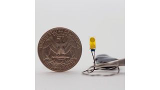 The entire implantable electronic system is smaller than a quarter. (Source: Joanna Ciatti/Northwestern University)
