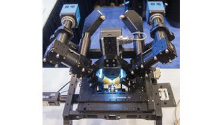 Bild 2: In dem Lichtblatt-Mikroskop von Applied Scientific Imaging werden zwei schnelle sCMOS-Kameras von der PCO AG eingesetzt, um mit einer geringeren Lichtbelastung für die Probe schneller 3D-Informationen zu erhalten. Dies bedeutet Datenraten von bis zu 2 GByte/s. (Bild: PCO AG)