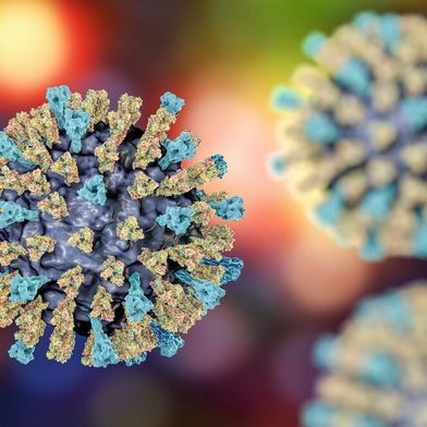 Das Masernvirus löscht unser Immungedächntis. Die Folge ist eine höhere Anfälligkeit für Erkrankungen noch für mehrere Jahre. (Symbolbild) (Bild: © Dr_Microbe - stock.adobe.com)