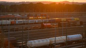 Güterzugleistungen werden immer mehr angefragt. Die DB InfraGO arbeitet daher verstärkt an neuen Lösungen.  (Bild: Deutsche Bahn | Max Lautenschläger)