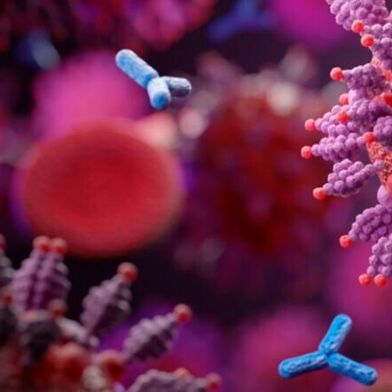 Wirkmechanismus von COR-101: Der Antikörper blockiert die Bindung des Virus SARS-CoV-2 an die Wirtszelle. (Bild: Corat Therapeutics)