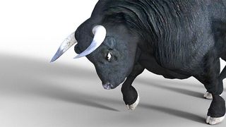 Sich als ITK-Dienstleister zu etablieren ist wie, einen Bullen zu reiten – ein Auf und Ab und nicht immer gleich erfolgreich. (Bild: gemeinfrei© Lutz Peter)
