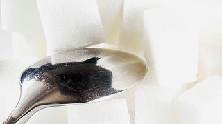 Forscher haben entdeckt, dass der Zuckertransport ins Gehirn durch so genannte Stützzellen reguliert wird. (gemeinfrei)