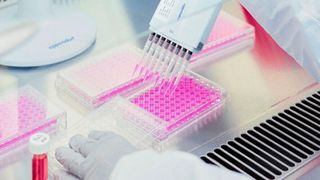 Bis zum Jahr 2023 will Merck im neu eröffneten Labor in Shanghai 120 Arbeitsplätze schaffen.  (Bild: Merck)