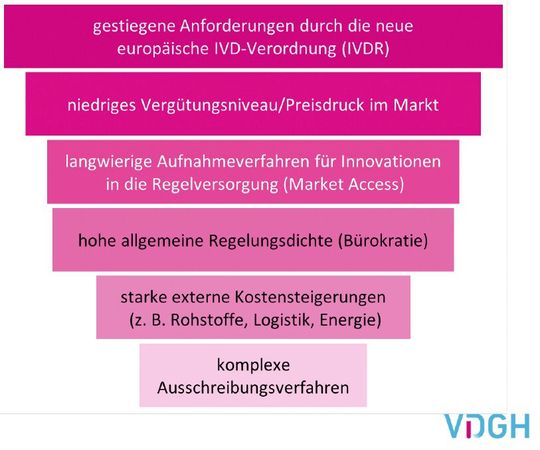 Antworten der Mitgliedsunternehmen auf die Frage, was die Labordiagnostik bremst.(Bild:  VDGH)
