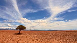 Sollten keine effektiveren Maßnahmen zur Eindämmung des Klmawandels unternommen werden, drohen extreme und lebensbedrohliche Hitzewellen im Nahen Osten und in Nordafrika (Symbolbild). (gemeinfrei, Wolfgang Hasselmann)