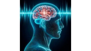 A groundbreaking new study reveals that changes to the gut microbiome can change the way the brain works.  (Source: Pixabay)