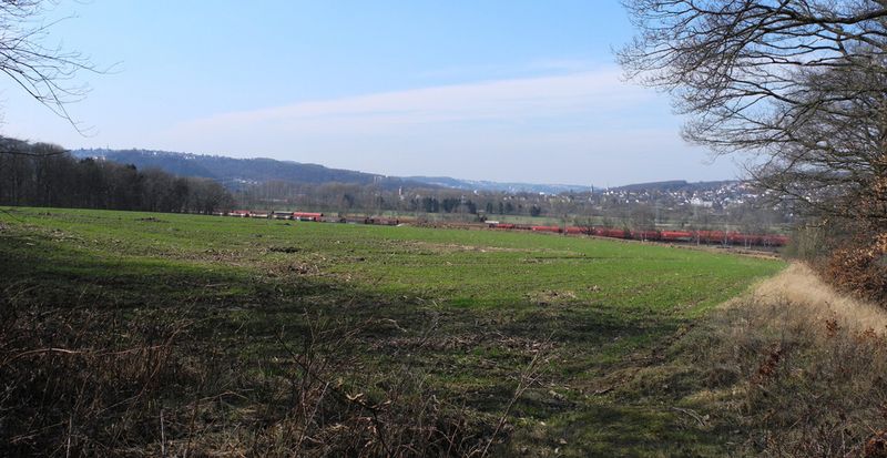 Schließlich soll auf diesem Feld binnen eines Jahres ... (Bild: Burg)