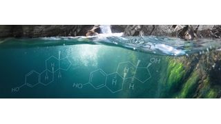 Abb. 1: Die Steroidhormone 17 α -Ethinylestradiol (EE2), 17 β -Estradiol (E2) und Estron (E1) werden über menschliche Ausscheidungen ins Abwasser und somit auch in Oberflächengewässer eingetragen. (© Yaar- stock.adobe.com)