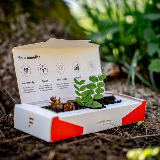 Mit dem Sustainable Packaging Service stellt Faller Packaging ein Konzept vor, um Kunden beim Umstieg auf nachhaltige Sekundärpackmittel zu unterstützen und somit den CO2-Fußabdruck von Verpackungen deutlich zu reduzieren.(Bild:  Faller Packaging)