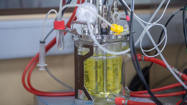 Präbiotische Galactooligosaccharide, kurz GOS genannt, werden im Nebenprodukt Molke hergestellt.(Bild:  Sascha Perten)