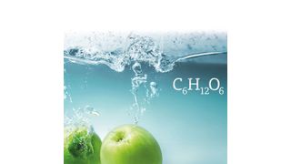 Abb. 1: Mit polymerbasierten Eurokat-Säulen können Zucker mit einer einfachen isokratischen Methode getrennt und dabei Wasser als Eluent verwendet werden. (©fotobieshutterb - stock.adobe.com)