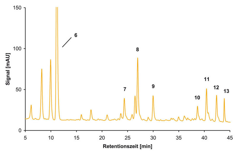 Abb.4: Xanthophyllester in oranger Paprika.
Das Homogenat (5 g) wurde mit einem Gemisch aus Essigsäureethylester,
Petrolether und Methanol (1:1:1) extrahiert, vom Lösungsmittel
befreit und in 10 mL tert-Butylmethylether/Methanol
(1:1) gelöst. Abgebildet ist das mittels HPLC (450 nm) an einer
C30-Phase erhaltene Chromatogramm. Bezeichnungen: 6 = freies
Zeaxanthin (Z); 7 = Z-laurat; 8 = Z-myristat; 9 = Z-palmitat; 10 =
Z-laurat/myristat; 11 = Z-dimyristat; 12 = Z-myristat/palmitat; 13
= Z-dipalmitat. (Archiv: Vogel Business Media)