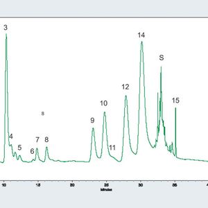 Abb. 1b: Parameter: Trennsäule: Symmetrie C18 (Waters), 4,6 x 150 mm, Porendurchmesser 5 µm;
mit entsprechender Vorsäule (Symmetrie C18, 4,6 x 20 mm, 5 µm); Eluent: A: H2O, B:
CH3CN , C: 0,04 M CH3COONH4 / CH3COOH, pH 4,0; H2O- CH3CN-Gradientenprogramm mit
konstantem Pufferanteil (10%); Flussrate: 2 ml/min; Injektionsvolumen: 40 µl; Säulentemperatur:
30°C; Detektion: UV-Absorption, PDA, drei Wellenlängen: 235, 254 und 420 nm
(Peak-Zuordnung: 1 = 2,4-DNBS, 2 = 2,4-DNP, 3 = Hexogen, 4 = 2-A-6-NT, 5 = Octogen,
6 = 1,3,5-TNB, 7 = 1,3-DNB, 8 = 3,5-DNP, 9 = 2-A-4,6-DNT, 10, 4-A-2,6-DNT, 11 = 2,4-DNT,
12 = 2,6-DNT, 13 = 3,5-DNT, 14 = 2,4,6-TNT, 15 = Hexyl, S = Systempeak) (Vgl. Abb.1a)