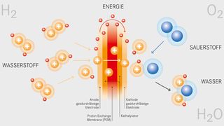 Aufbau und Funktionisweise einer Wasserstoff-Brennstoffzelle. (Bild: Daimler)