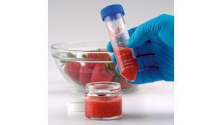 Abb.1: Obst wie Erdbeeren sind eine typische Lebensmittelmatrix und können mithilfe eines Standard QuEChERS-Röhrchen für die Analyse vorbereitet werden. (Bild: Thermo Fisher Scientific)