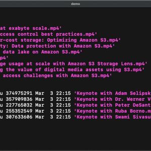Die Dateinamen tauchen – hier in violetter Schrift in einer Demonstration – wieder in der Befehlszeile auf, wenn man Ubuntu-Linux nutzt, um auf S3-Bucket-Inhalte zuzugreifen.(Bild:  AWS)