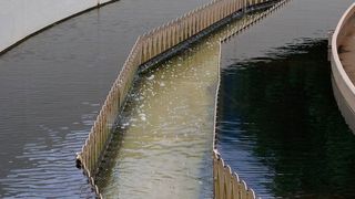 Abwasseranalysen können bei der Pandemiebekämpfung helfen. (gemeinfrei)