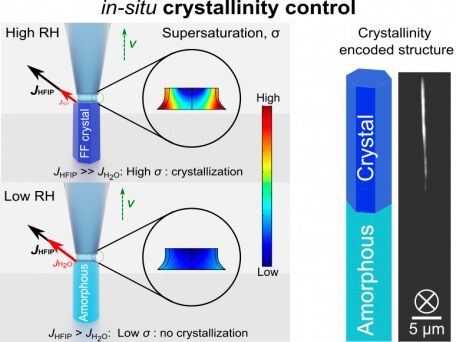 Ablauf des 3D-Druckverfahren für die Herstellung polarisationskodierter 3D-Mikropixel.(Bild:  Universität Hongkong)